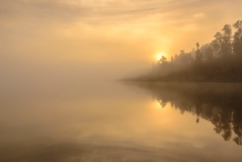 A mystical morning on the shore of Lake Paringa, as the sun slowly rose up through the thick fog behind the native West Coast forest.