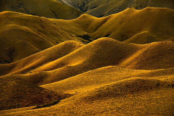 On the border between the Mackenzie Country and Central Otago lies the Lindis Pass. Rolling tussock hills with countless opportunities for compositions.