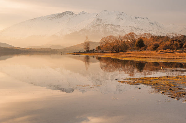 The last light of a winters day sets the scene across the calm waters at Glendhu Bay, Lake Wanaka