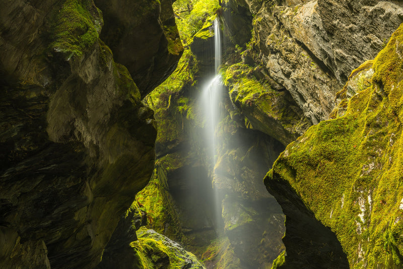 A weeping face takes shape amongst within the moss clad rock walls of a small slot canyon in the Haast Pass.