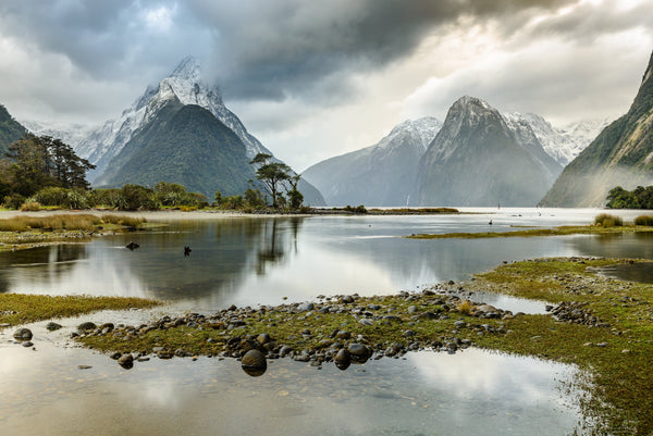 A still winters morning with soft light captures the diverse natural beauty of the majestic Milford Sound, Fiordland