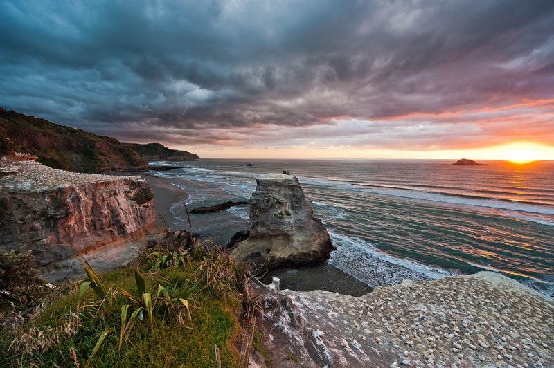 The sunsets in the west over the Tasman Sea as the Gannets nestle down for the evening. Muriwai Beach, West Auckland.