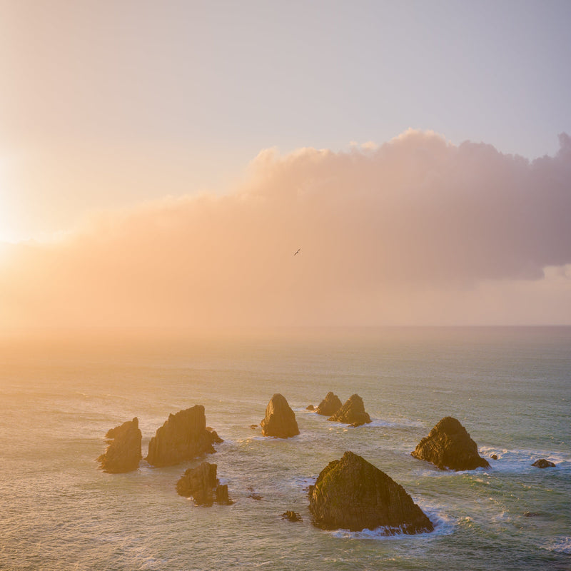 The Nuggets bath in early morning sunlight, Nugget Point, Catlin Coast