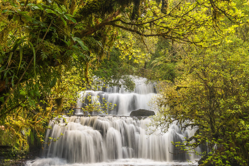 Layers of nature surrounds the beautiful Purakaunui Falls, Catlin Coast