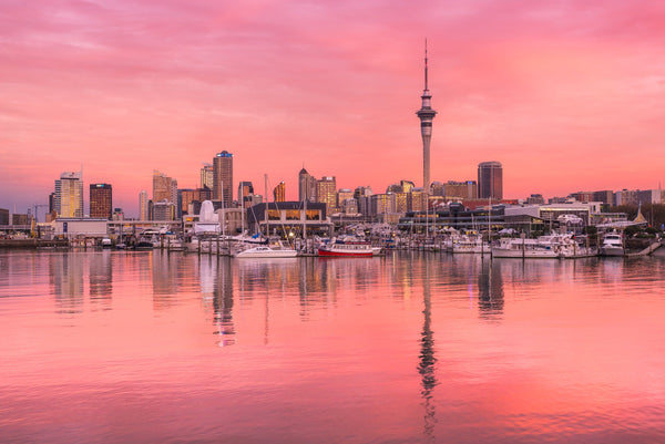 A special evening as the skies light up over the Auckland City skyline.