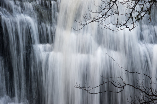 Branches framed across a closer detail of water flowing over Purakaunui Falls, Catlin Coast.