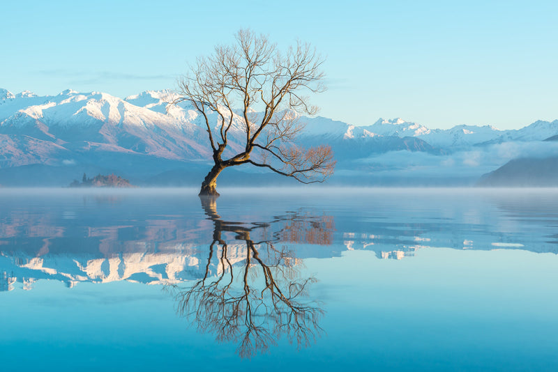 One frigidly cold winters morning, a special calm fell, with a whisper of mist across the water of Lake Wanaka.  I waited as the first light of the morning graced this unique willow tree on the lakes edge.  Looking towards the Buchanan Mountains with Ruby Island in the distance.