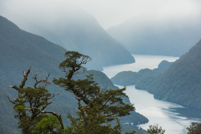 A viewpoint from the top of Wilmot Pass as the rain starts to surround the mountains overlooking Doubtful Sound, Fiordland National Park.
